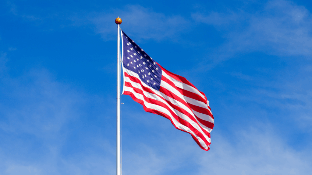 Investing in the U.S. in Times of Uncertainty