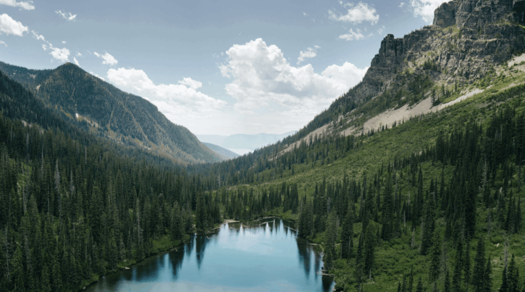Montana